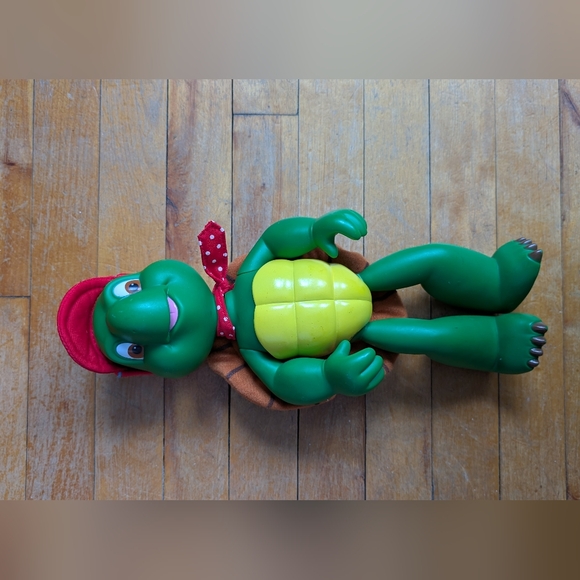 Green Turtle Benjamin - Picture 8 of 8